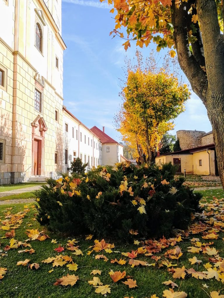 Tento obrázok nemá vyplnený ALT popisok, jeho názov je 3b68dc17-e151-4a1f-a699-80b17bdc5387-768x1024.jpg